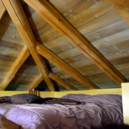 Prázdninový dům Roza *